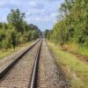 Dachsbauten beschädigen Bahnstrecke – Sperrung zwischen Winden und Landau dauert an